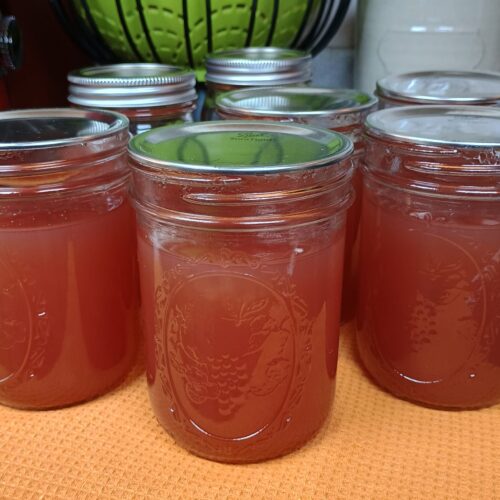 homemade red grape jelly canned in mason jars
