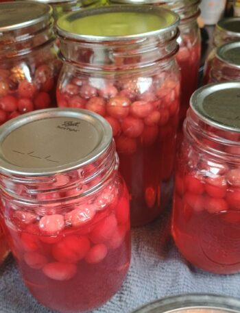 cranberry juice in mason jar