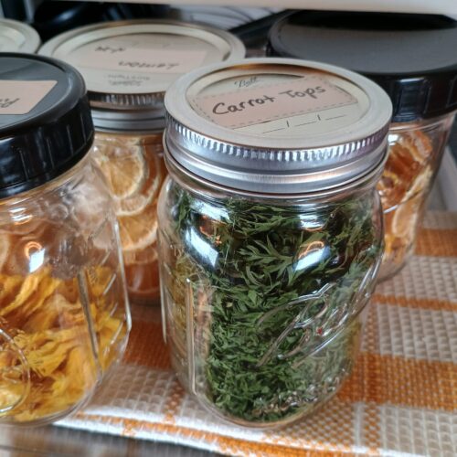 dehydrated fruit and carrot tops in jars